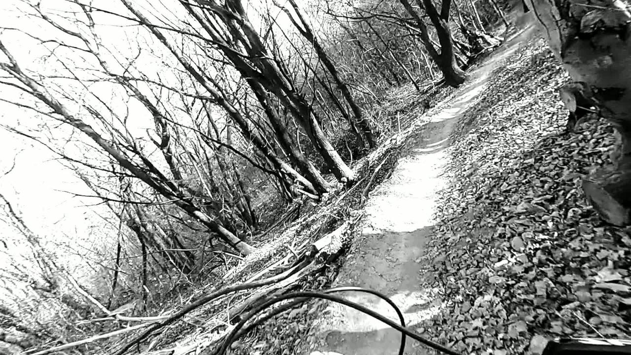 Ma Vid&eacute;o Quik