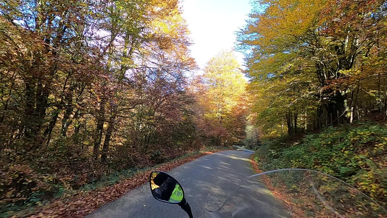 gopro.com