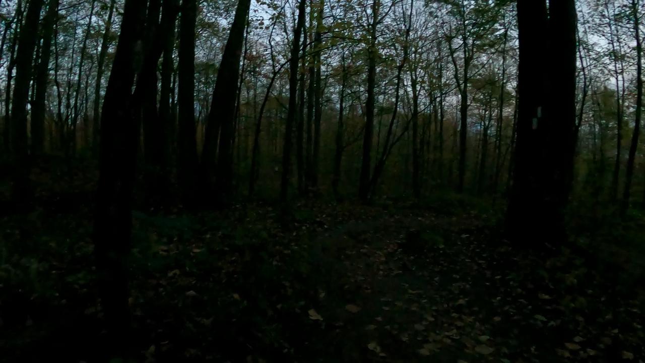 gopro.com