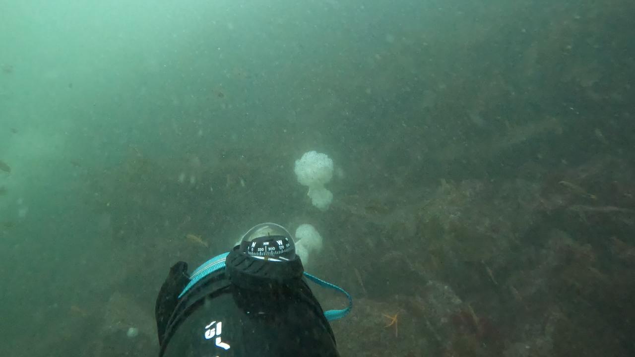 gopro.com