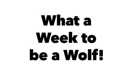 What a Week to be a Wolf!